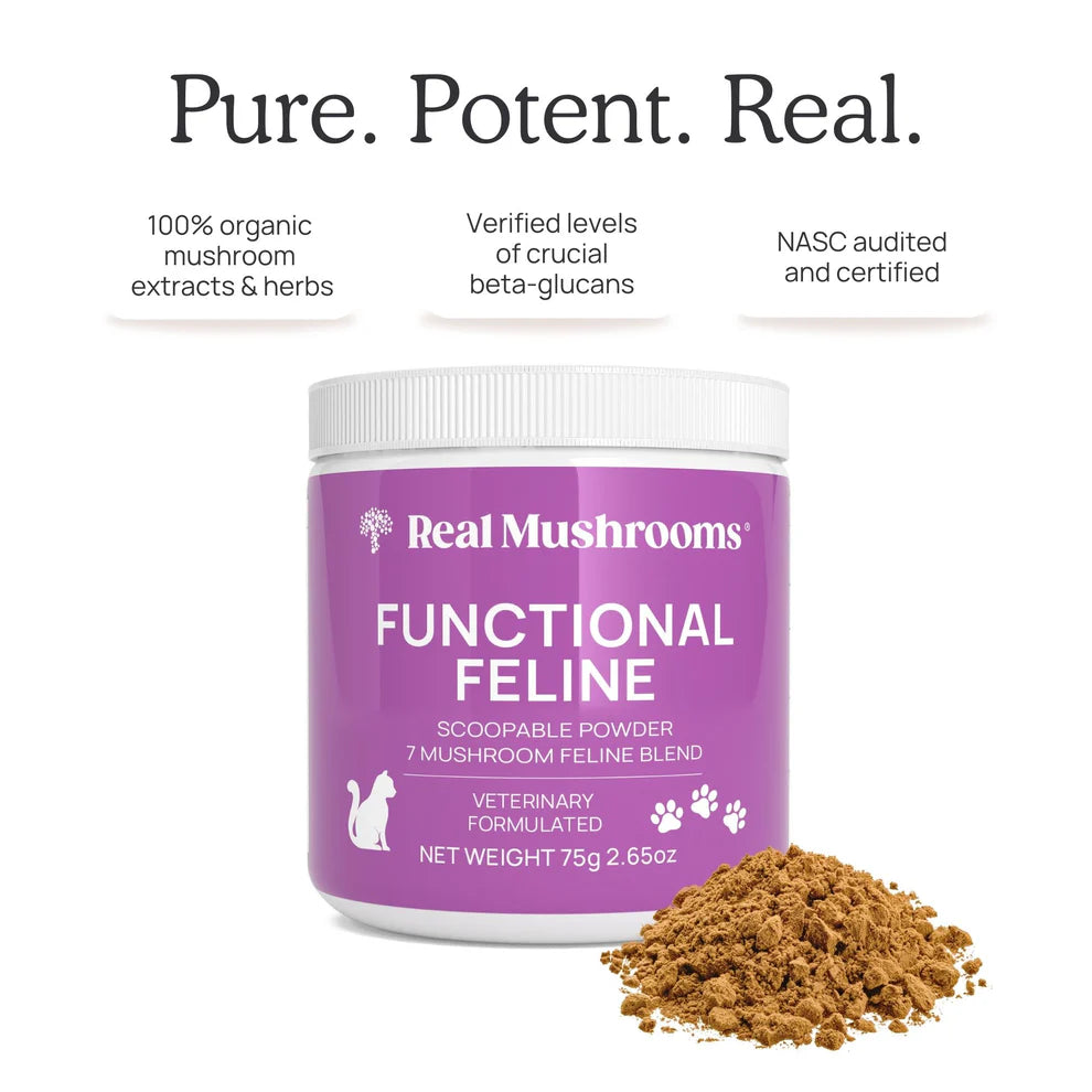 Real Mushrooms | Functional Feline Powder