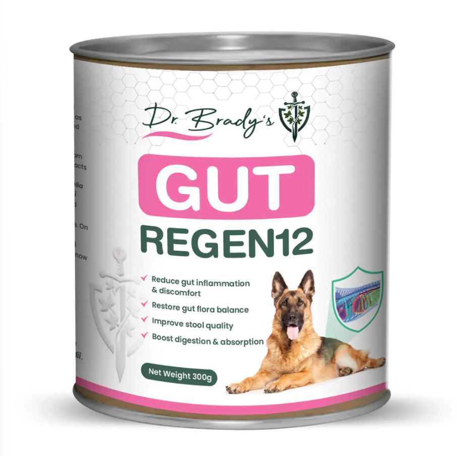 Dr. Brady's Gut Regen12