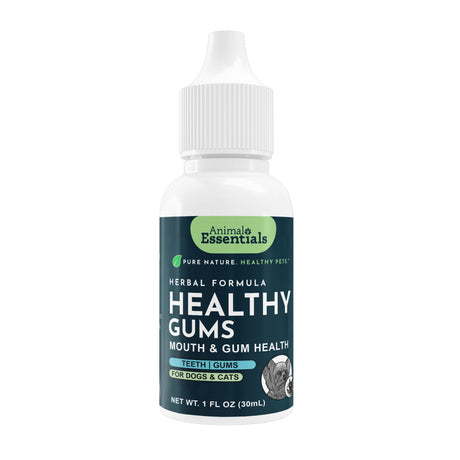 A 1 fl oz bottle of Animal Essentials | Healthy Gums is a natural herbal rinse for dogs and cats, designed to support oral health and help maintain fresh breath. Packaged with a white dropper cap and green-blue label, this mouth and gum health supplement promotes healthy gums in pets.
