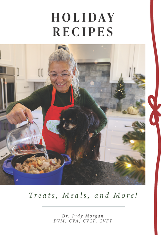 Holiday Recipes E-book for Dogs