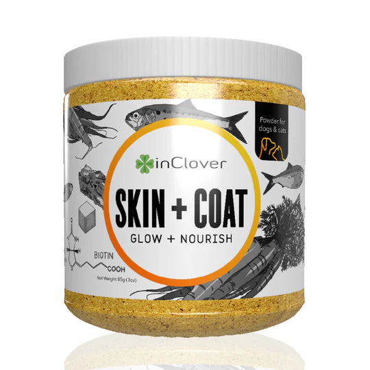inClover | BioRadiant Skin + Coat Supplement for Dogs + Cats