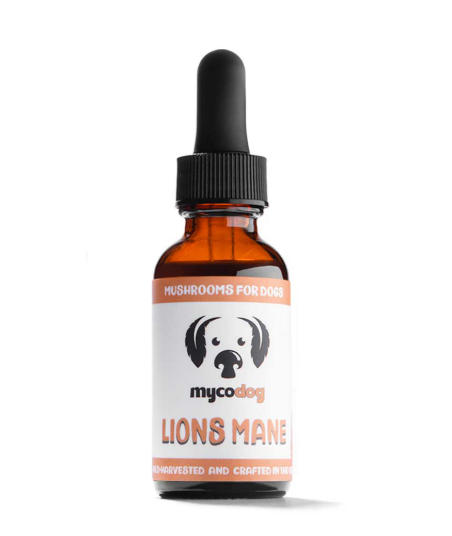 MYCODog | Lion's Mane Tincture