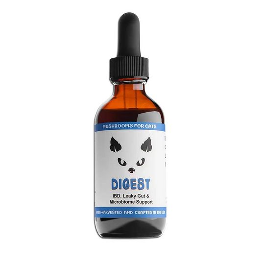 MycoCat | Digest  - Mushroom Extract & Adaptogen Tincture