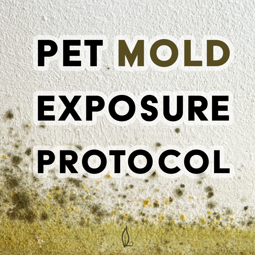 Mold Exposure Protocol