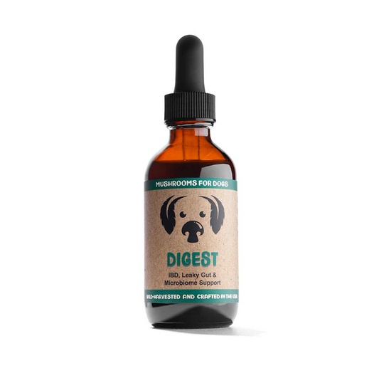 MYCODog | Digest - Mushroom Extract & Adaptogen Tincture