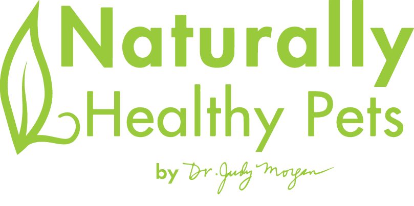 CocoTherapy Hairball Plus – Dr. Judy Morgan's Naturally Healthy Pets