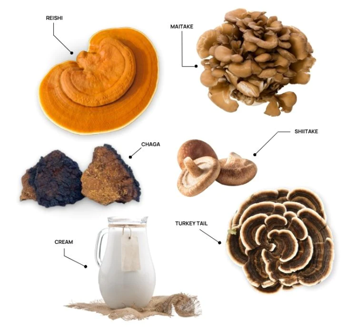 Real Mushrooms | Functional Dairy Creamer (Powder)