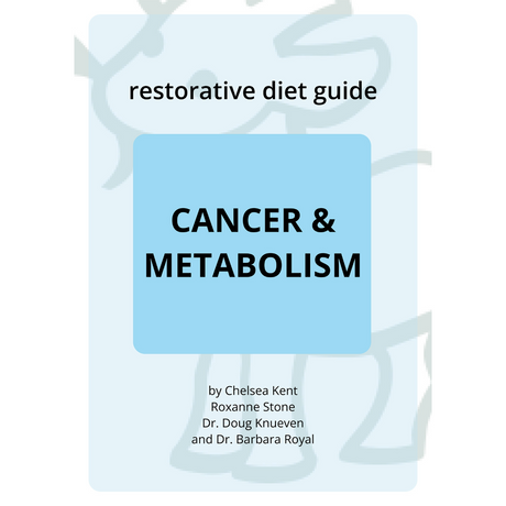 PDF cover titled Cancer Diet Guide from Solutions Pet Products by Chelsea Kent, Roxanne Stone, Dr. Doug Knueven, and Dr. Barbara Royal. Features a light blue background with simple goat line drawing. 