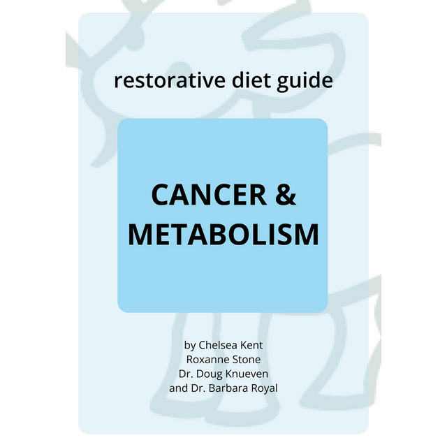 PDF cover titled Cancer Diet Guide from Solutions Pet Products by Chelsea Kent, Roxanne Stone, Dr. Doug Knueven, and Dr. Barbara Royal. Features a light blue background with simple goat line drawing. 