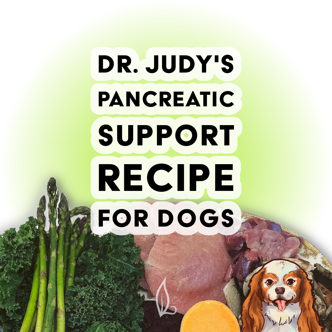 Dr. Judy's Pancreatic Support Diet for Dogs