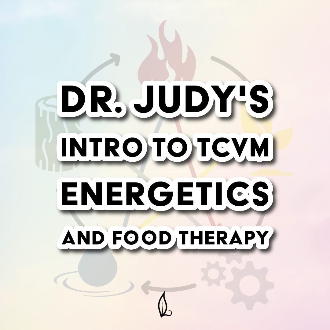 Dr. Judy's Intro to TCVM Energetics & Food Therapy