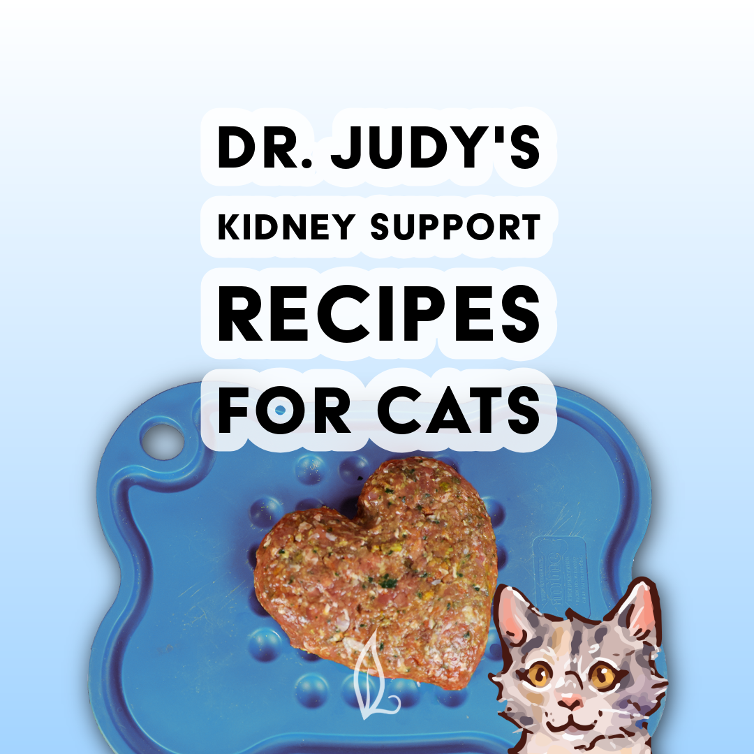 Kidney Support Diet for Cats