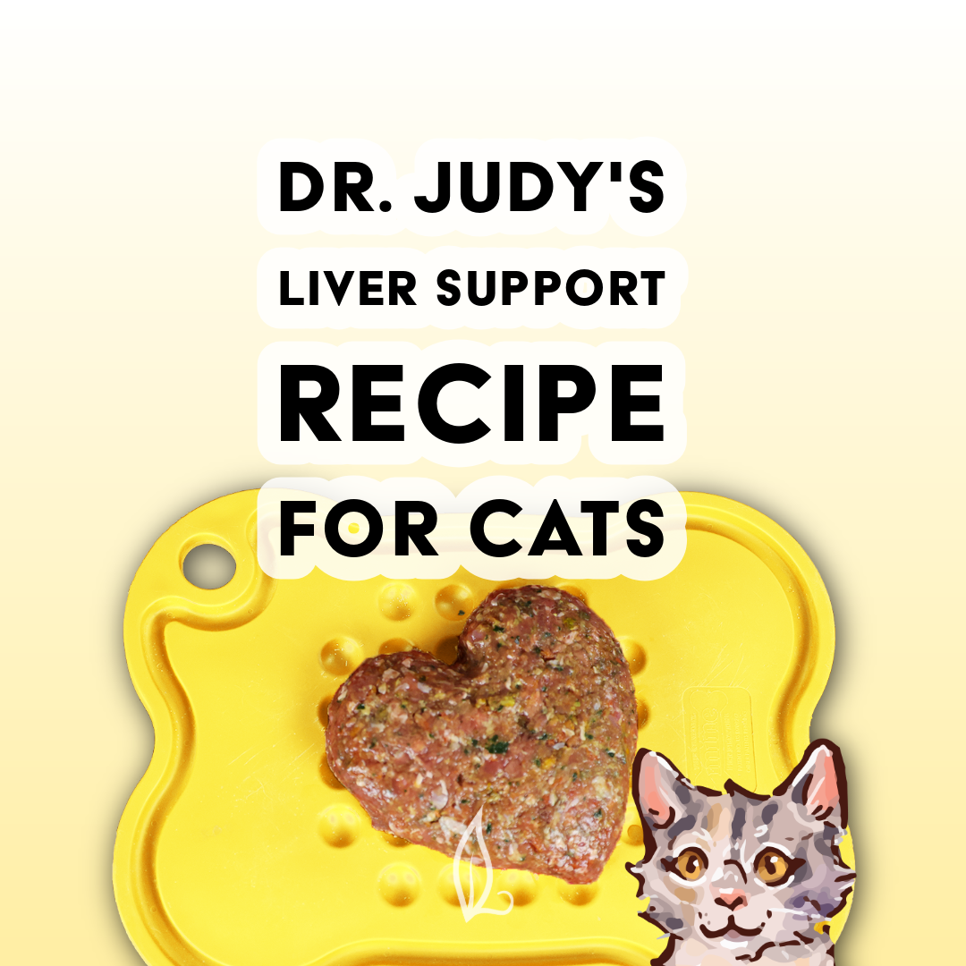 Dr. Judy's Liver Support Diet for Cats
