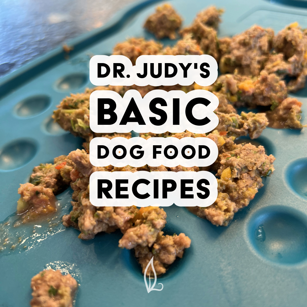 Dr. Judy's Basic Dog Food Recipes