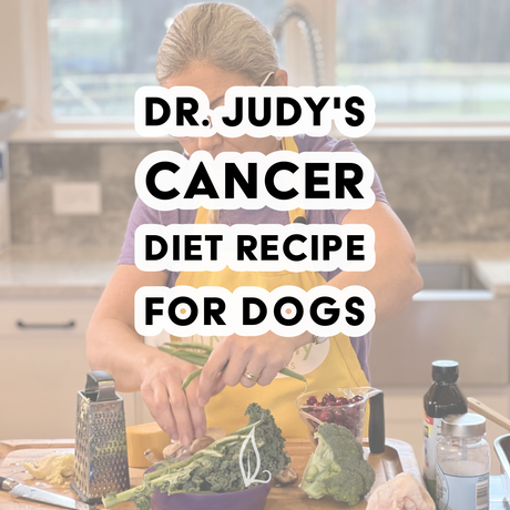 A woman in a kitchen prepares Dr. Judy's Cancer Diet Recipe for Dogs using fresh vegetables, a grater, and other wholesome ingredients. Text overlay reads: Dr. Judy's Cancer Diet Recipe with free PDF download.