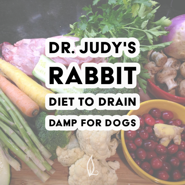 Fresh vegetables, fruit, and raw rabbit meat on a counter with the overlaid text: “Dr. Judy’s Rabbit Diet to Drain Damp Recipe for Dogs.” Discover Dr. Judy’s complete and balanced Rabbit Diet to Drain Damp Recipe—designed to support your dog’s health. Download your free PDF of the recipe today!.