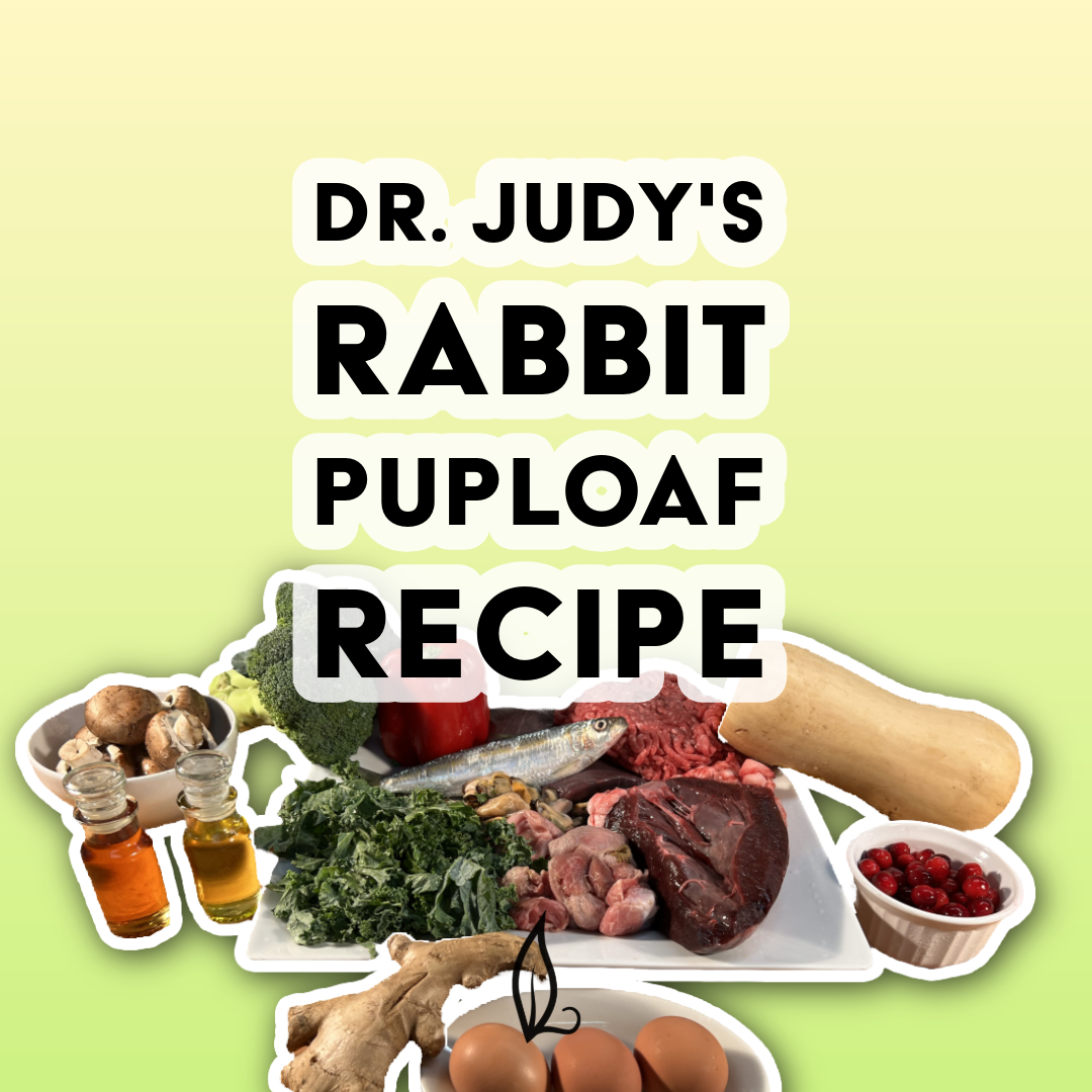 Dr. Judy's Rabbit Puploaf Recipe