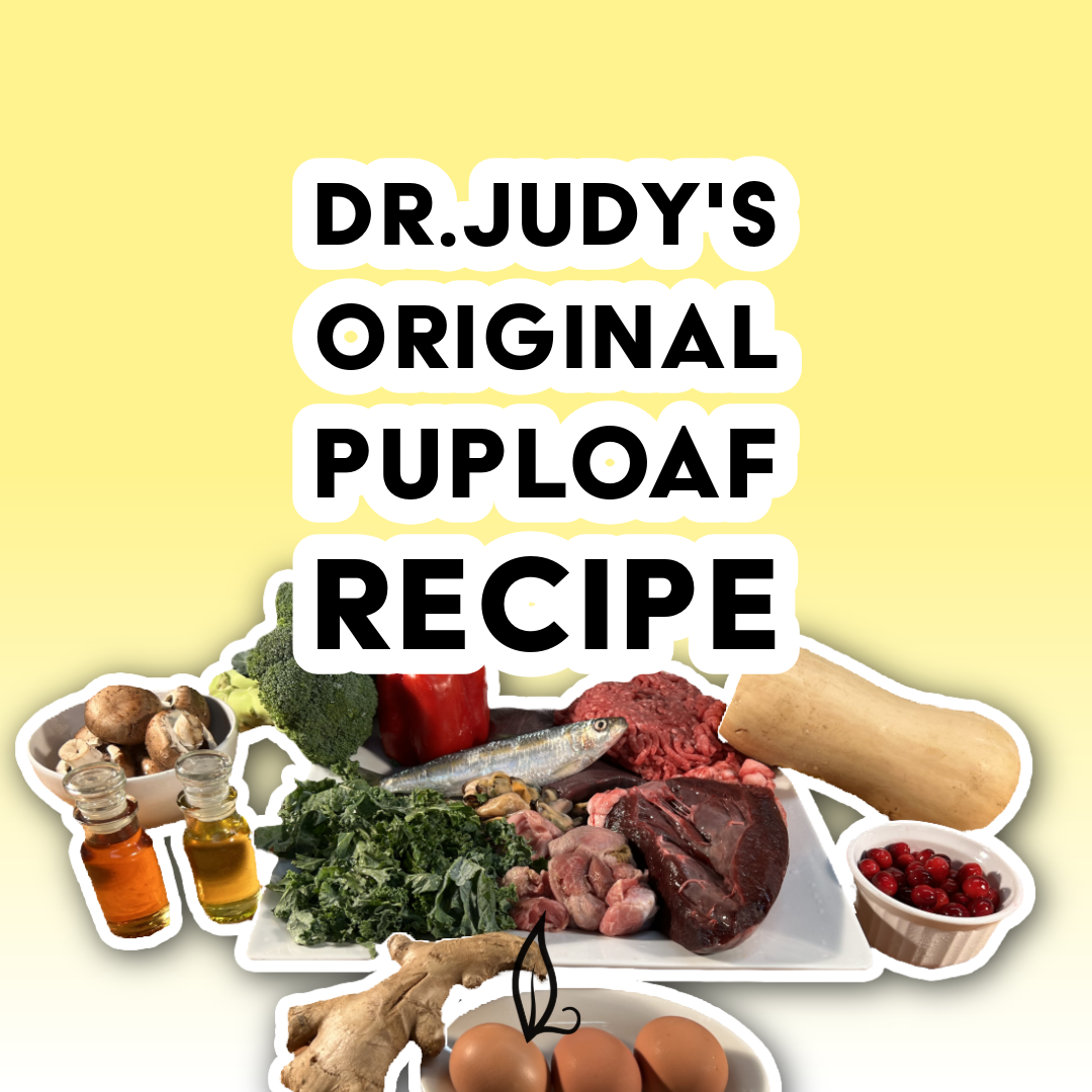 A vibrant graphic featuring the text “Dr. Judy's Original PupLoaf Recipe” is set against a yellow background and surrounded by fresh ingredients like fish, vegetables, oils, eggs, and cranberries—showcasing this balanced dog food recipe, which is also available as a free PDF download.