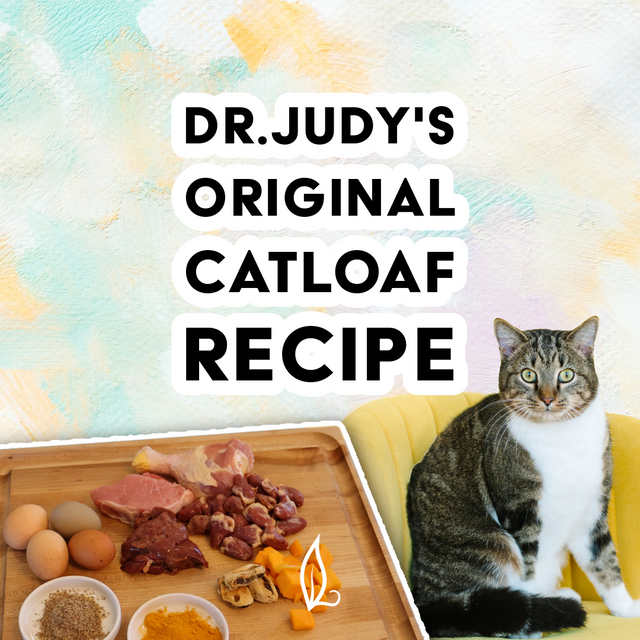 pastel watercolor background featuring images of a cat on a yellow velvet stool and a cutting board with various cuts of raw meat, eggs, and other ingredients. Text reads "Dr. Judy's Original CatLoaf Recipe"