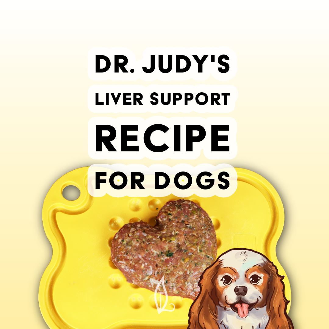 Dr. Judy's Liver Support Diet for Dogs