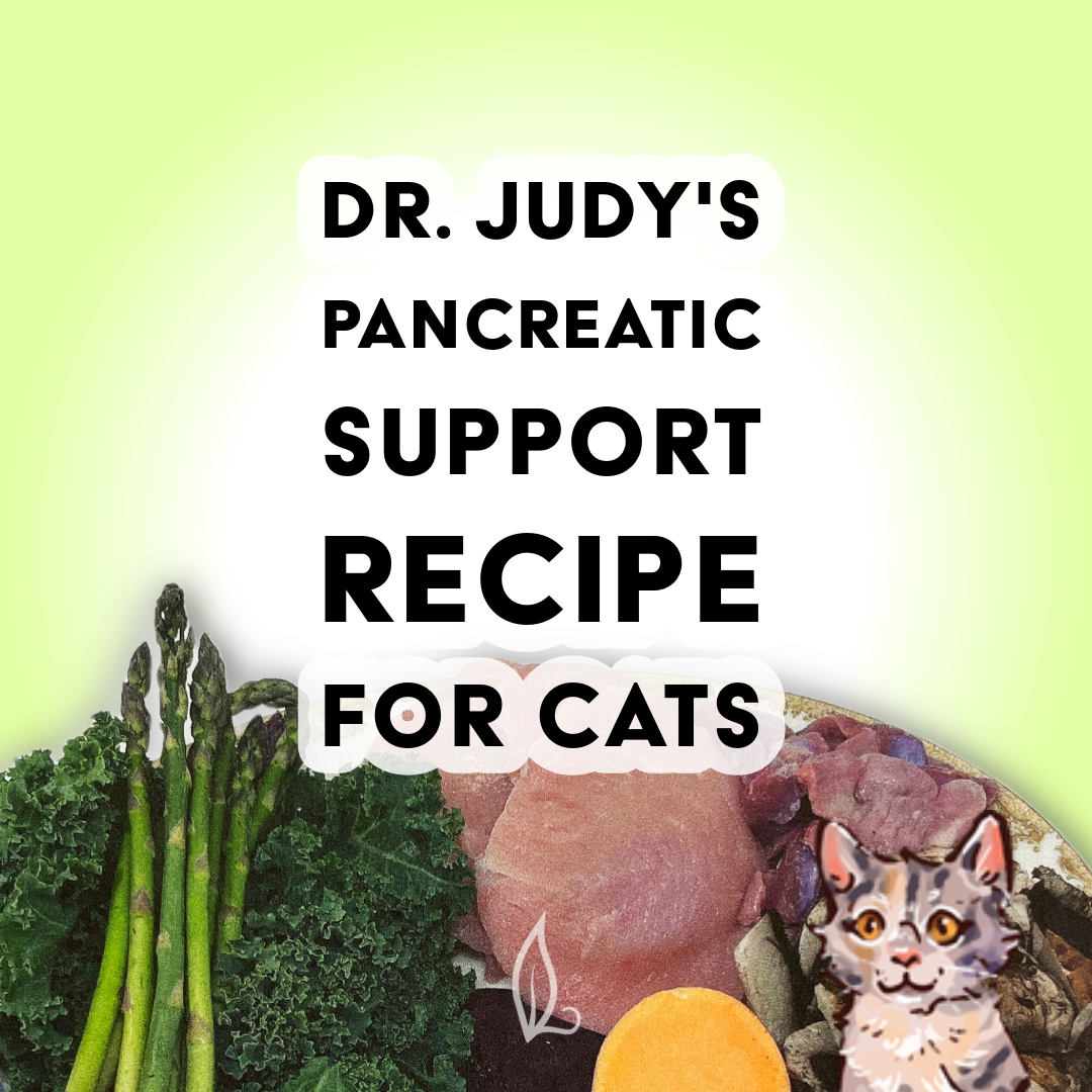 Dr. Judy's Pancreatic Support Diet for Cats