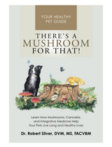 There's a Mushroom For That!