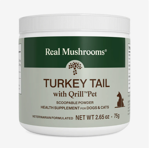 Real Mushrooms | Turkey Tail with Qrill™Pet – Dr. Judy Morgan's