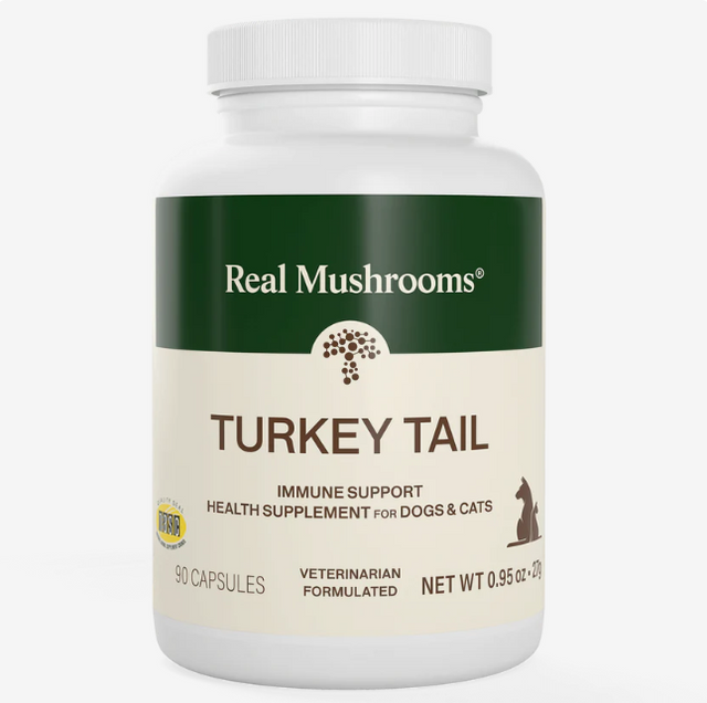 A white bottle labeled Real Mushrooms | Organic Turkey Tail Capsules - 90 Count, featuring immune support for dogs and cats with high levels of beta-glucans from Organic Turkey Tail Extract, contains 90 capsules for pets and is accented in dark green and beige.
