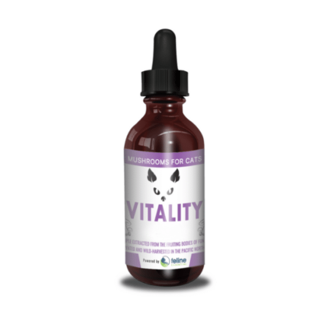 MycoCat | Vitality - Mushroom Extract & Adaptogen Tincture