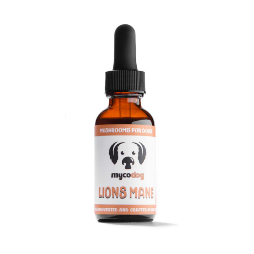 MYCODog | Lion's Mane Tincture
