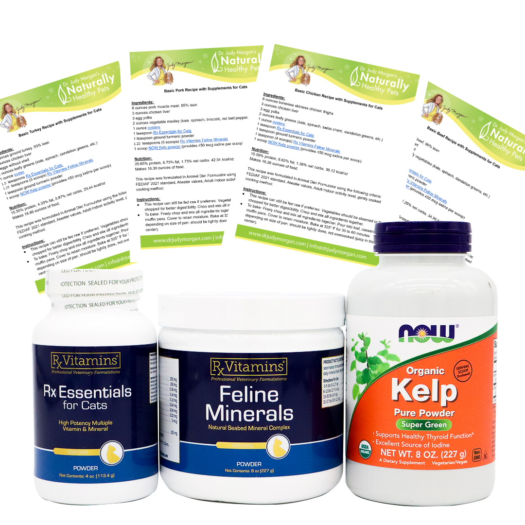 Homemade Cat Food Basic Recipes Bundle