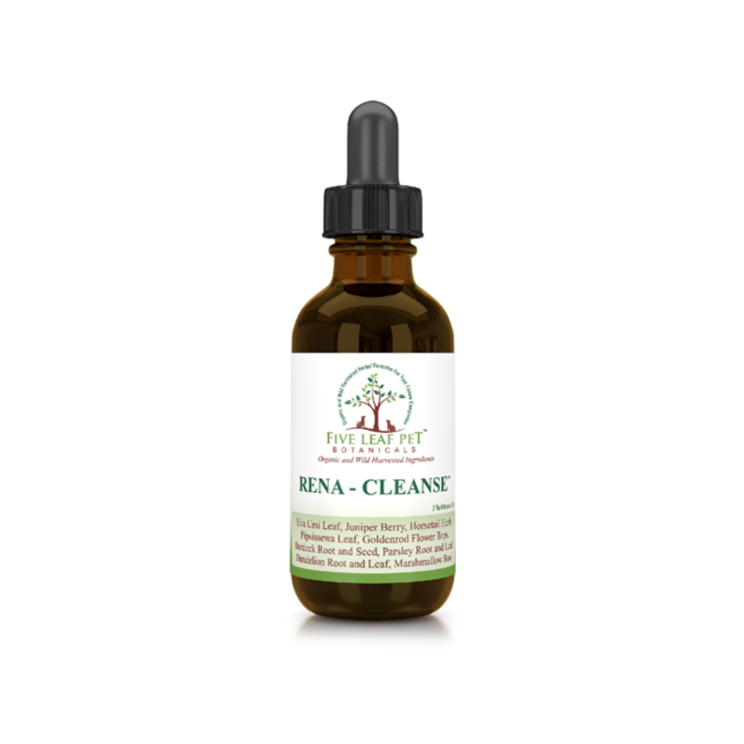 Five Leaf Botanicals | Canine Liver Health Program