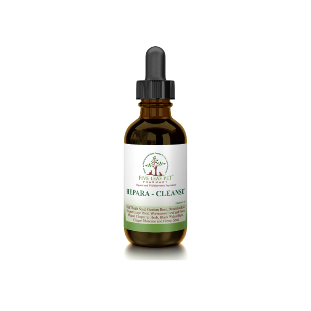 Five Leaf Botanicals | Canine Liver Health Program