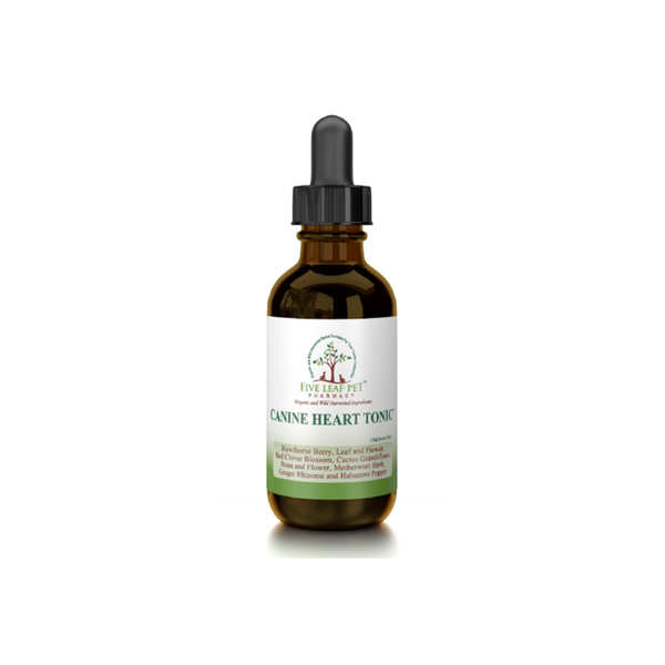 Five Leaf Botanicals | Canine Heart Tonic – Dr. Judy Morgan's