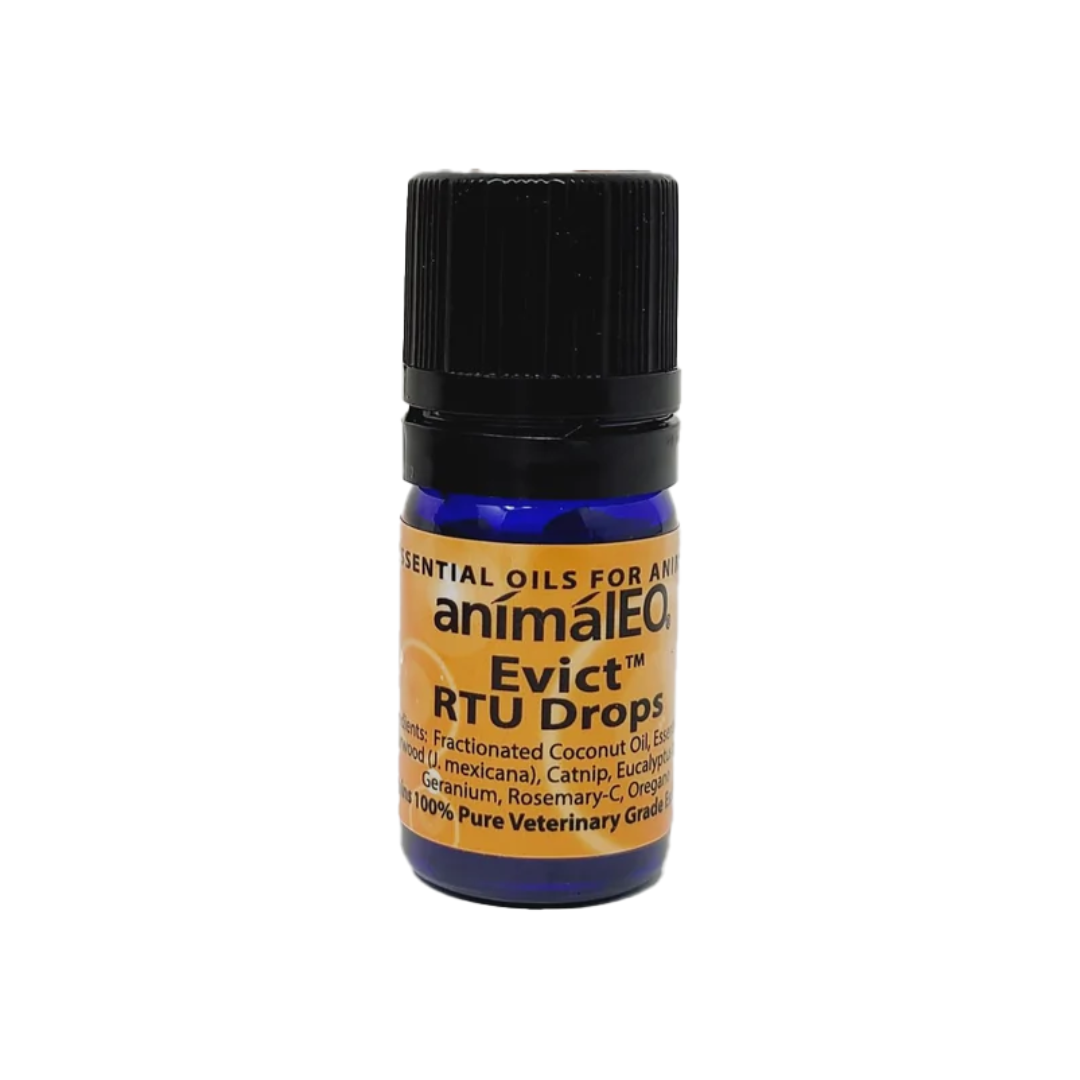 animalEO EVICT Ready to Use Essential Oil 5ml