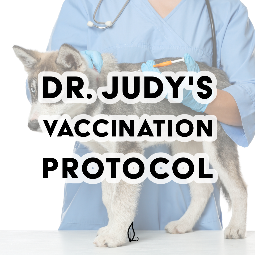 Dr. Judy's Vaccination Protocol