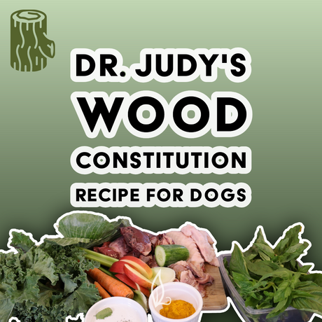 Assorted vegetables, raw meat, and spices arranged on a table, accompanied by the text "Dr. Judy's Wood Constitution Recipe" for dogs on a green gradient background with a tree stump graphic. Discover this balanced dog food recipe tailored for the Wood constitution and get your free PDF to support your dog's unique needs.
