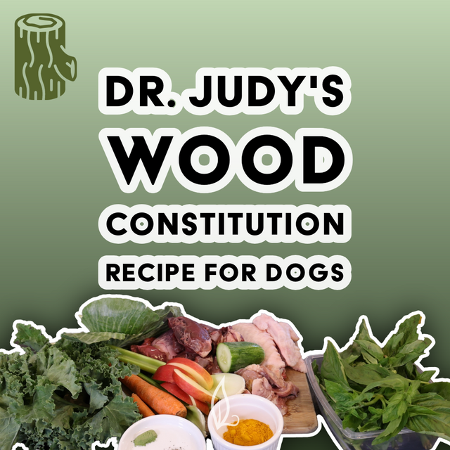 Assorted vegetables, raw meat, and spices arranged on a table, accompanied by the text "Dr. Judy's Wood Constitution Recipe" for dogs on a green gradient background with a tree stump graphic. Discover this balanced dog food recipe tailored for the Wood constitution and get your free PDF to support your dog's unique needs.