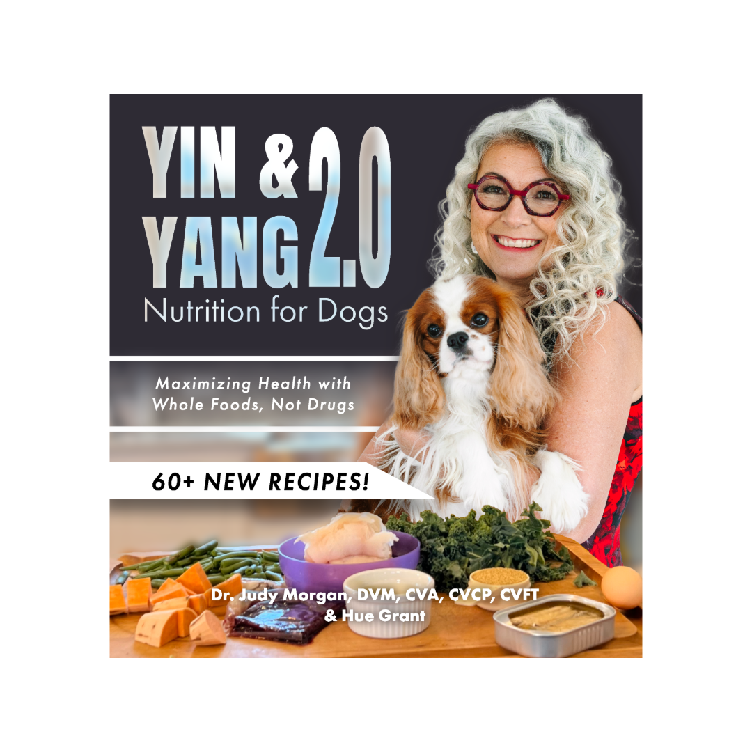 Yin & Yang 2.0 Nutrition for Dogs