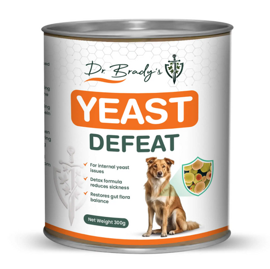 Dr. Brady's Yeast Defeat