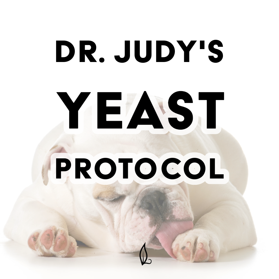 Dr. Judy's Yeast Protocol