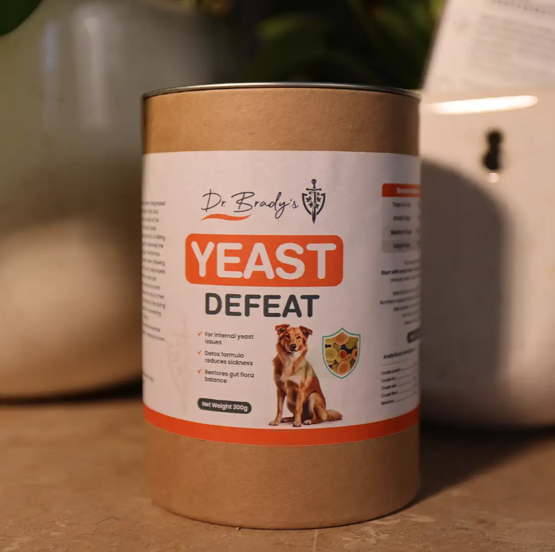 Dr. Brady's Yeast Defeat