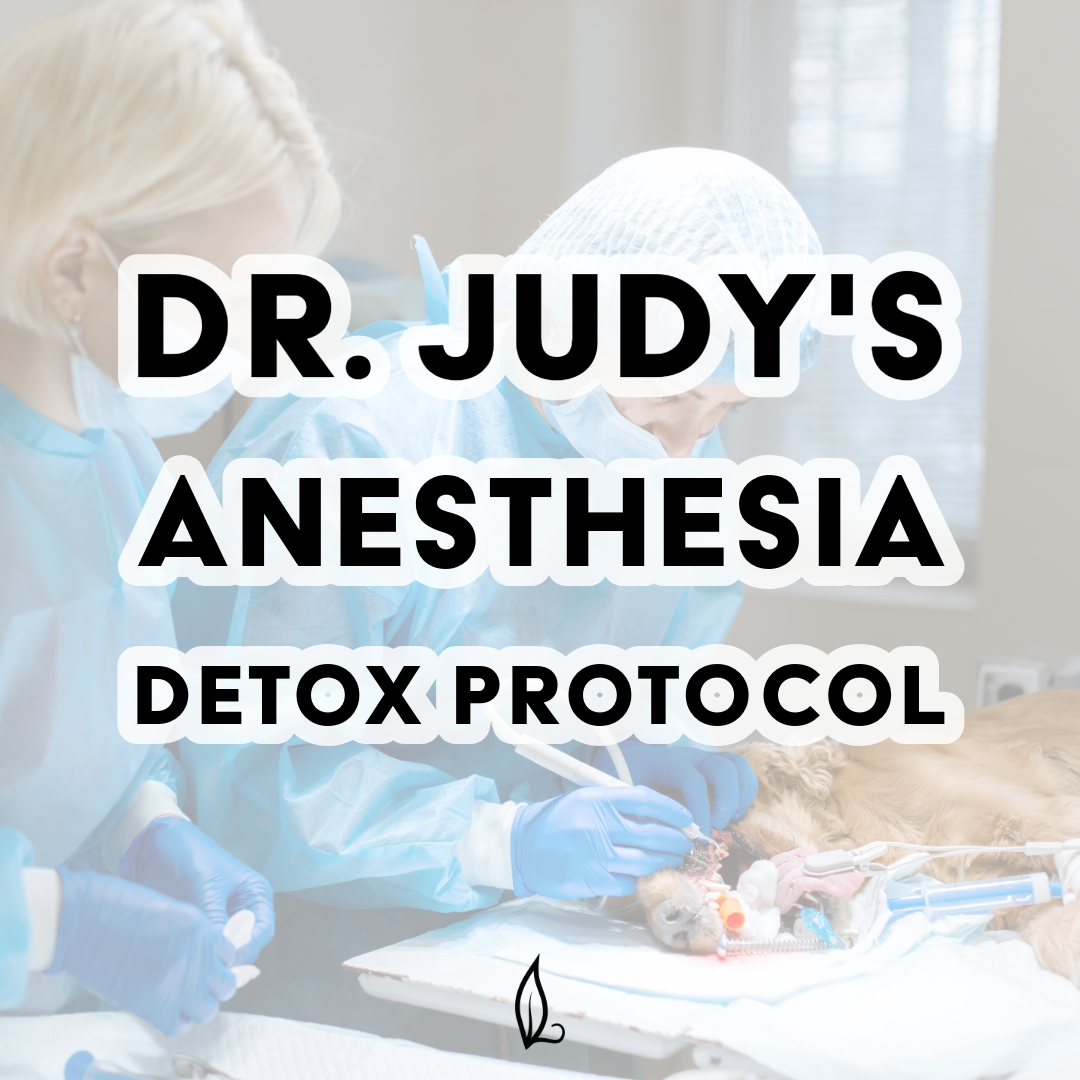 Dr. Judy's Anesthesia Detox Protocol for Dogs