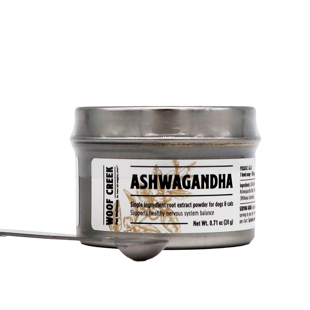 A small silver tin of Woof Creek | Ashwagandha Root Extract Powder for Dogs + Cats, labeled accordingly, contains root extract powder designed to provide natural stress relief for dogs and cats. A metal spoon filled with the powder is placed in front of the tin on a white background.