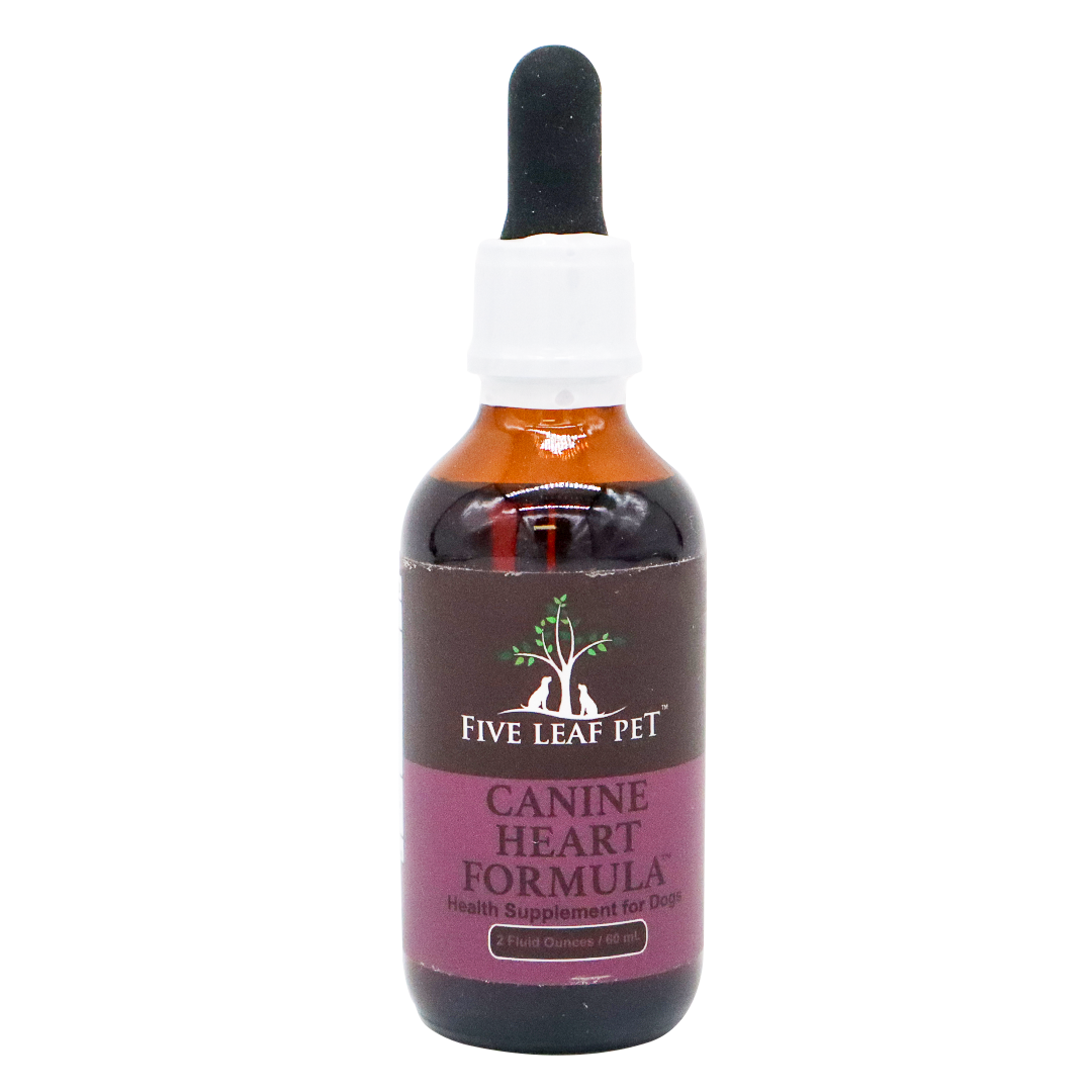 A bottle labeled Five Leaf Botanicals | Canine Heart Health Program, featuring a black dropper cap and containing 2 fluid ounces, is displayed against a plain white background. This herbal dog heart support supplement provides natural heart health support to help promote optimal canine cardiovascular wellness.