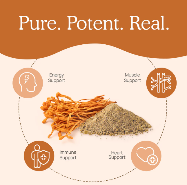 Real Mushrooms | Organic Cordyceps Mushroom Powder - 60g