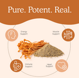 Real Mushrooms | Organic Cordyceps Mushroom Powder - 60g