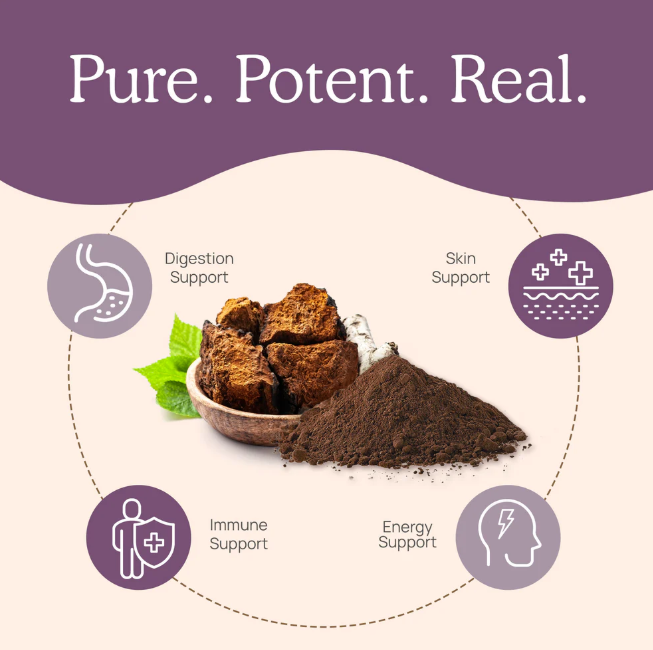 Real Mushrooms | Organic Siberian Chaga Extract Powder – 60g