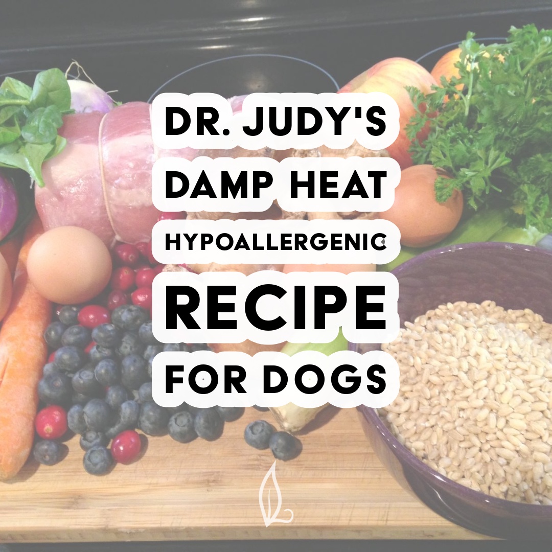 A selection of fresh ingredients, such as vegetables, fruits, and grains, are arranged on a counter alongside text that reads: Dr. Judy's Damp Heat Hypoallergenic Diet Recipe—a hypoallergenic diet for dogs seeking a healthier meal.