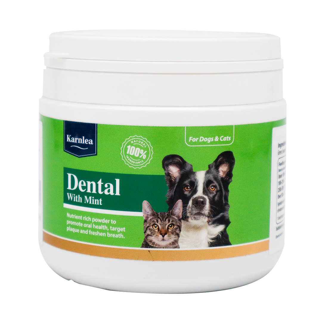 A white 200g container of KarnLea Dental with Mint Powder for dogs and cats, shown with cat and dog images on a green label. This natural supplement supports oral health and fresh breath using seaweed peppermint.